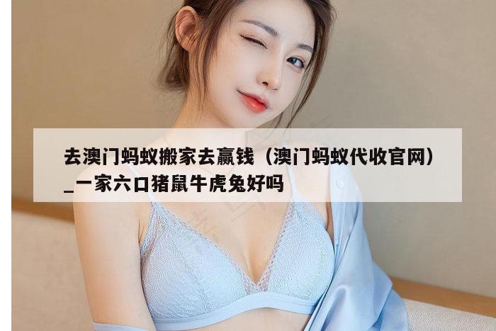 去澳门蚂蚁搬家去赢钱（澳门蚂蚁代收官网）_一家六口猪鼠牛虎兔好吗